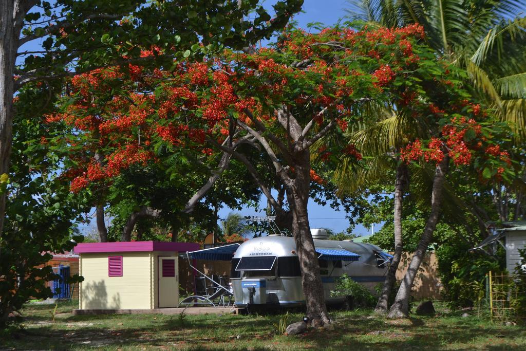 Airstream Paradise Bernard Exterior foto